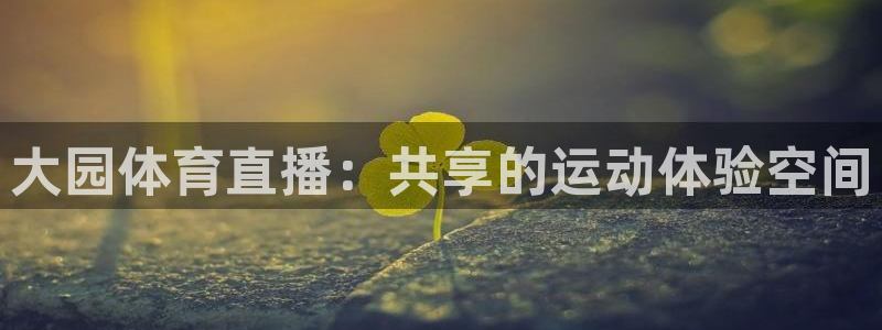88看球: nba直播_足球篮球免费在线直播：大园体育直播：共享的运动体验空间