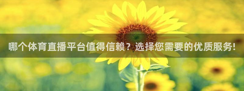 88看球免费直播高清观看：哪个体育直播平台值得信赖？选择您需要的优质服务!