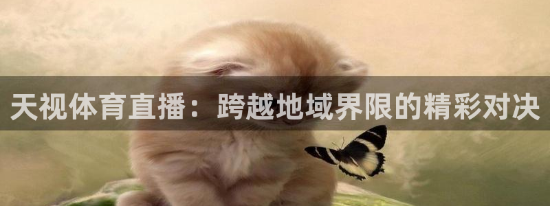 88看球nba直播视频在线直播官网：天视体育直播：跨越地域界限的精彩对决