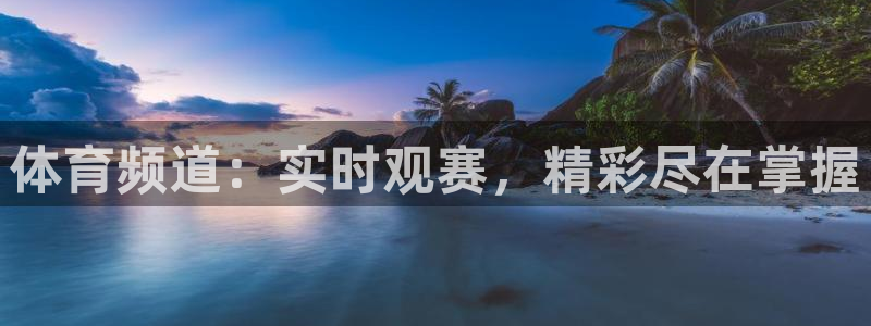 88看球直播官网nba：体育频道：实时观赛，精彩尽在掌握