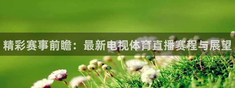 88看球nba在线直播：精彩赛事前瞻：最新电视体育直播赛程与展望