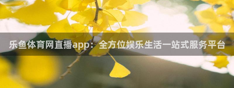 88看球nba足球直播：乐鱼体育网直播app：全方位娱乐生活一站式服务平台