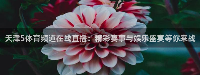 88看球免费nba直播：天津5体育频道在线直播：精彩赛事与娱乐盛宴等你来战