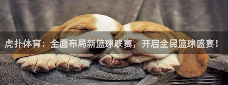88看球nba直播吧：虎扑体育：全面布局新篮球联赛，开启全民篮球盛宴！