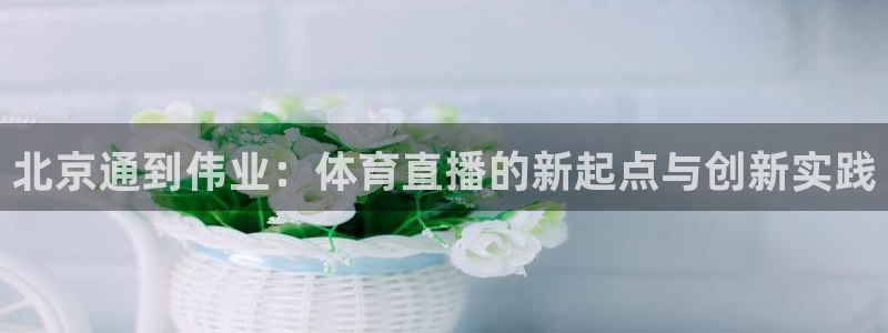 88看球直播官网入口：北京通到伟业：体育直播的新起点与创新实践
