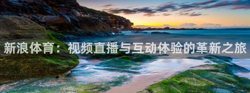88看球网免费nba直播吧：新浪体育：视频直播与互动体验的革新之旅